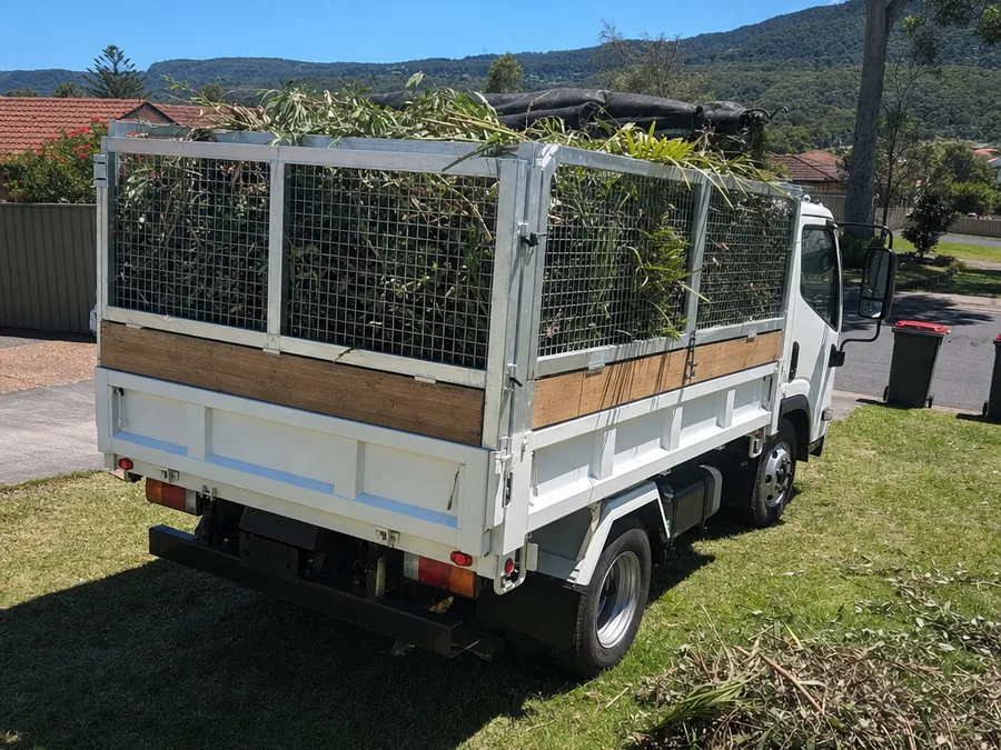 A white tipper piled high with cut branches and palm fronds on a front lawn