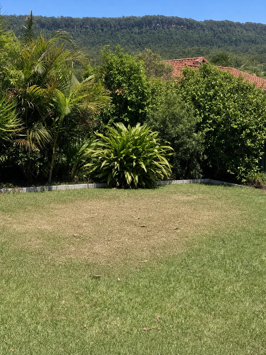 Old decking in the backyard, after