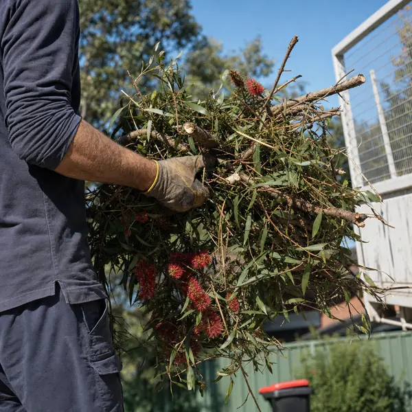 An armful of cut branches being carried to the truck